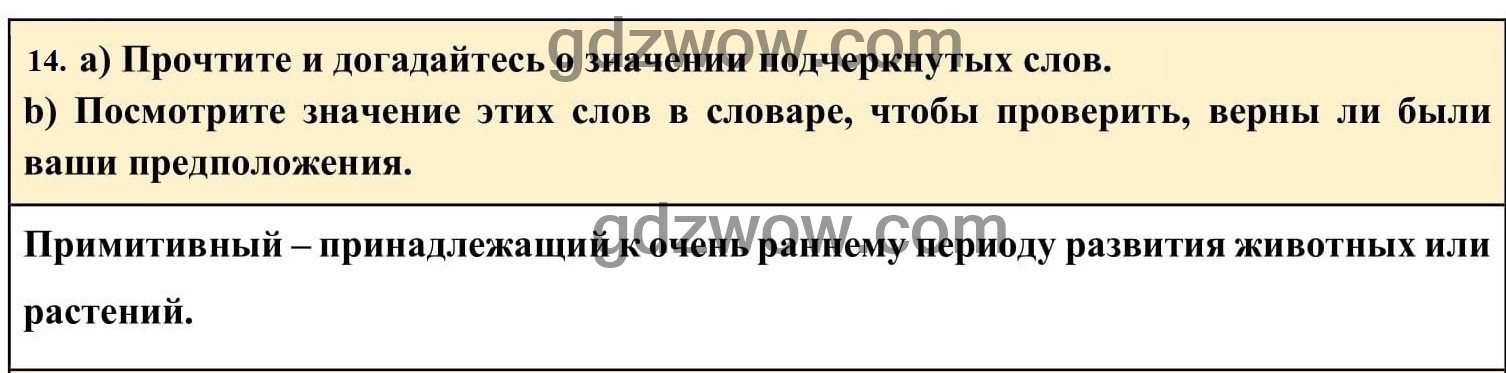 Номер 14 - ГДЗ по Английскому языку для 6 класса Учебник Афанасьева, Михеева. Unit 21. (решебник) - GDZwow