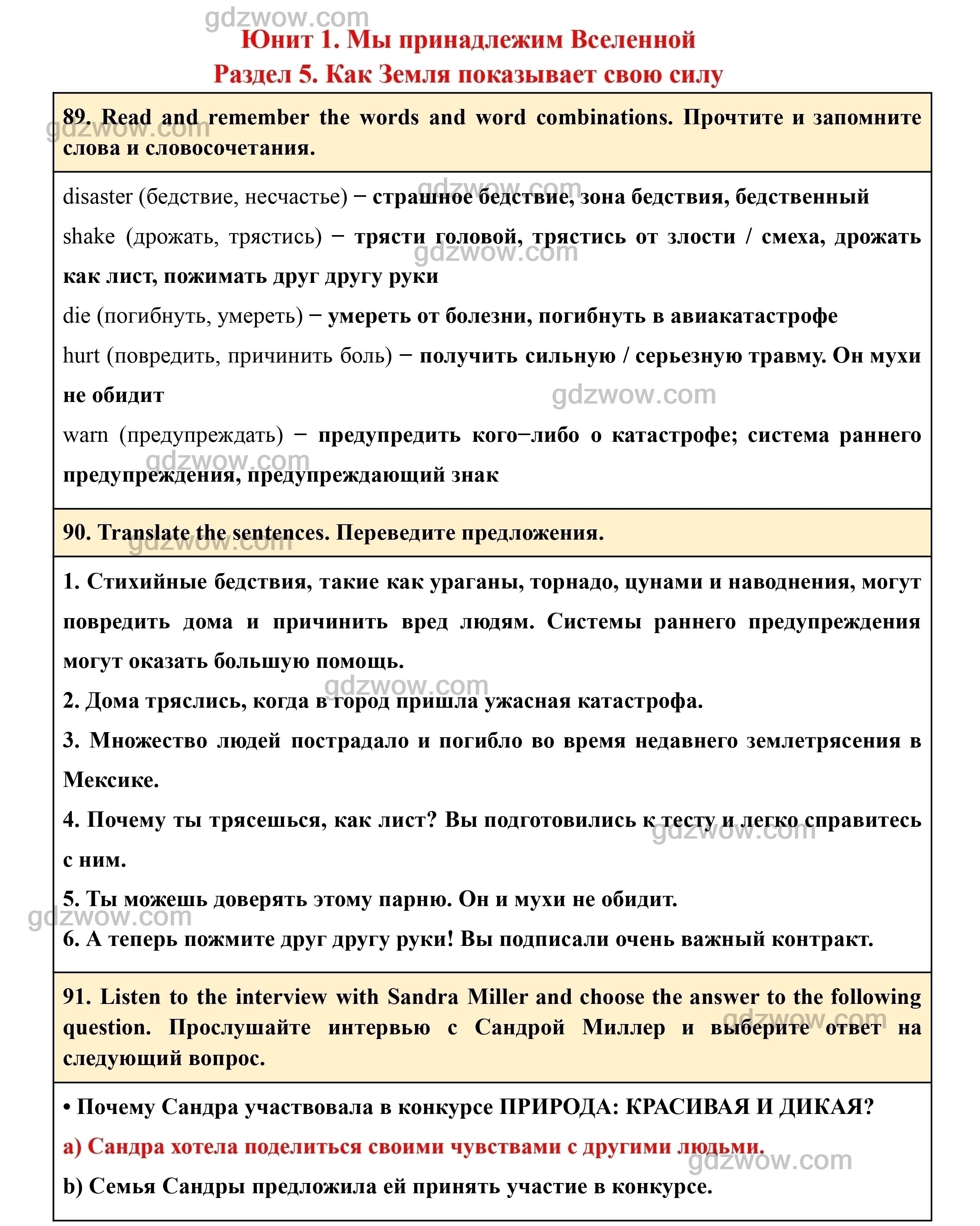 Моё хобби на английском языке: как написать сочинение или рассказ