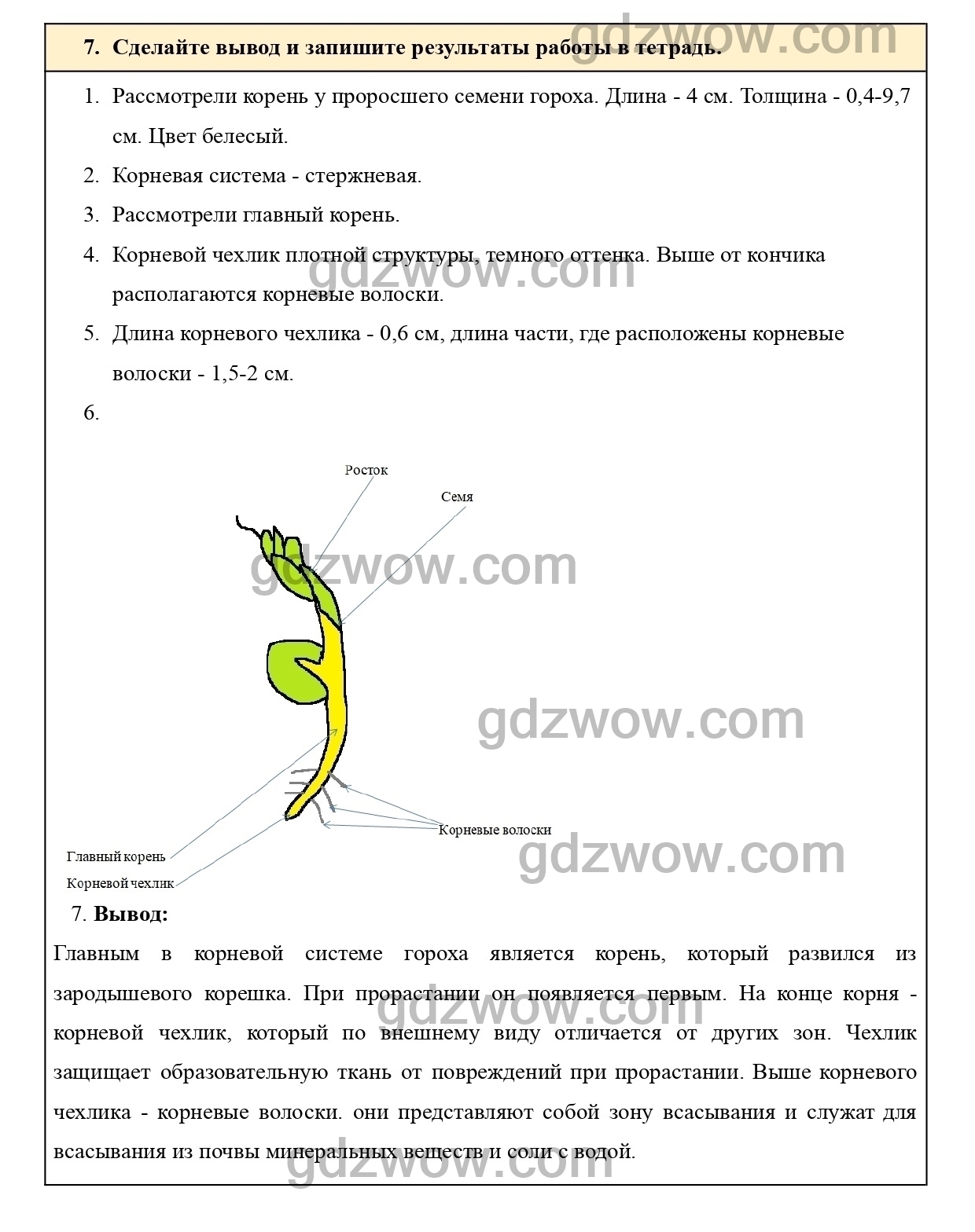 Тесты по биологии 6 класс Пономарева. Биология. 6 Класс. Учебник.