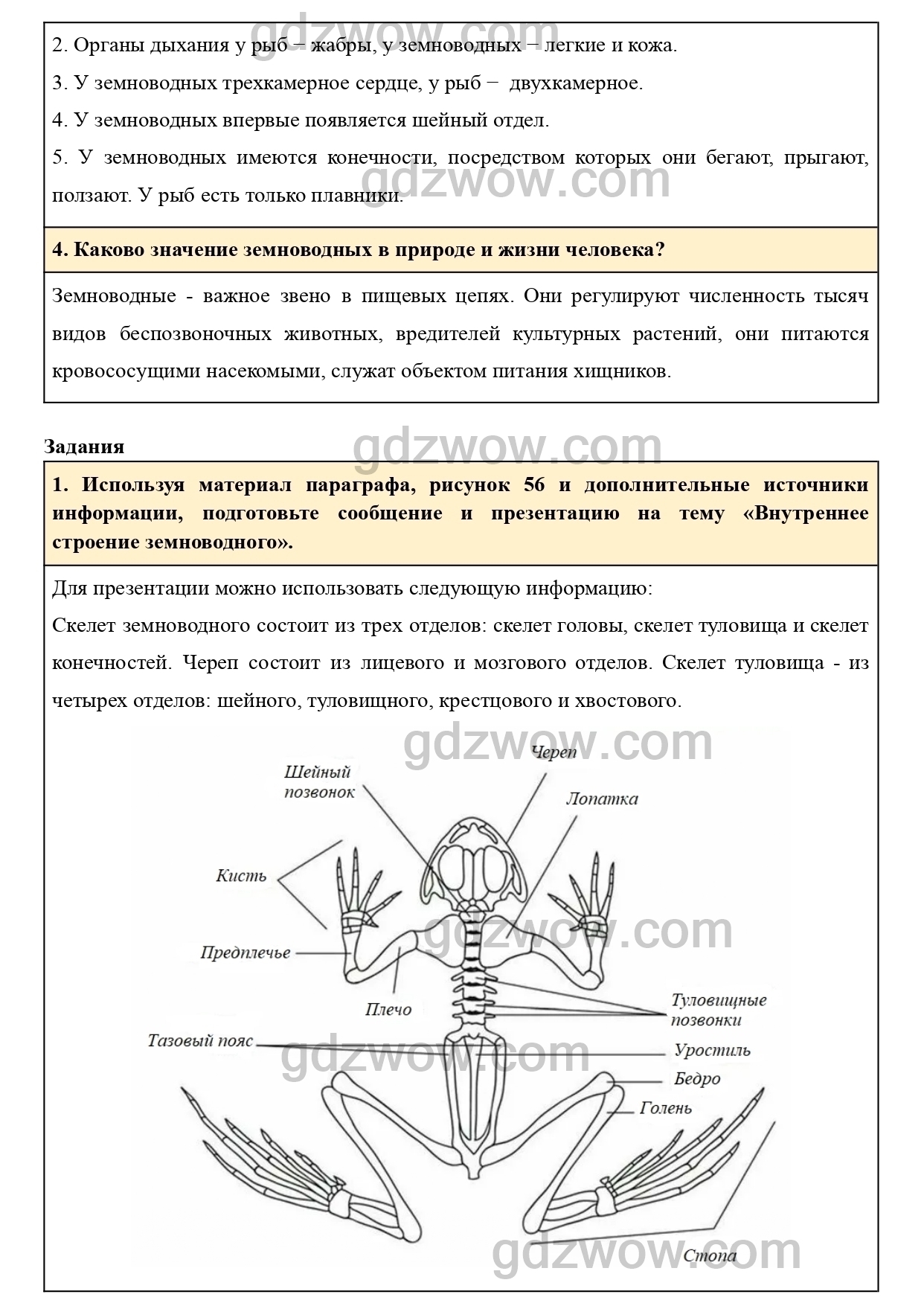 Биология 7 класс учебник пасечник с ракушкой