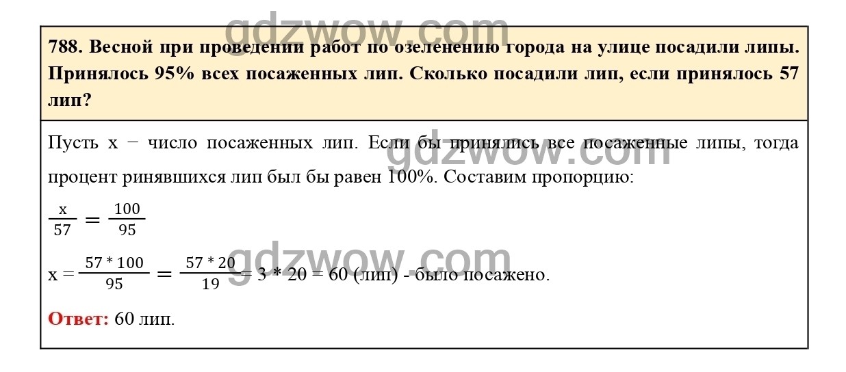 Математика 6 класс номер 788. Математика 6 класс номер 794.