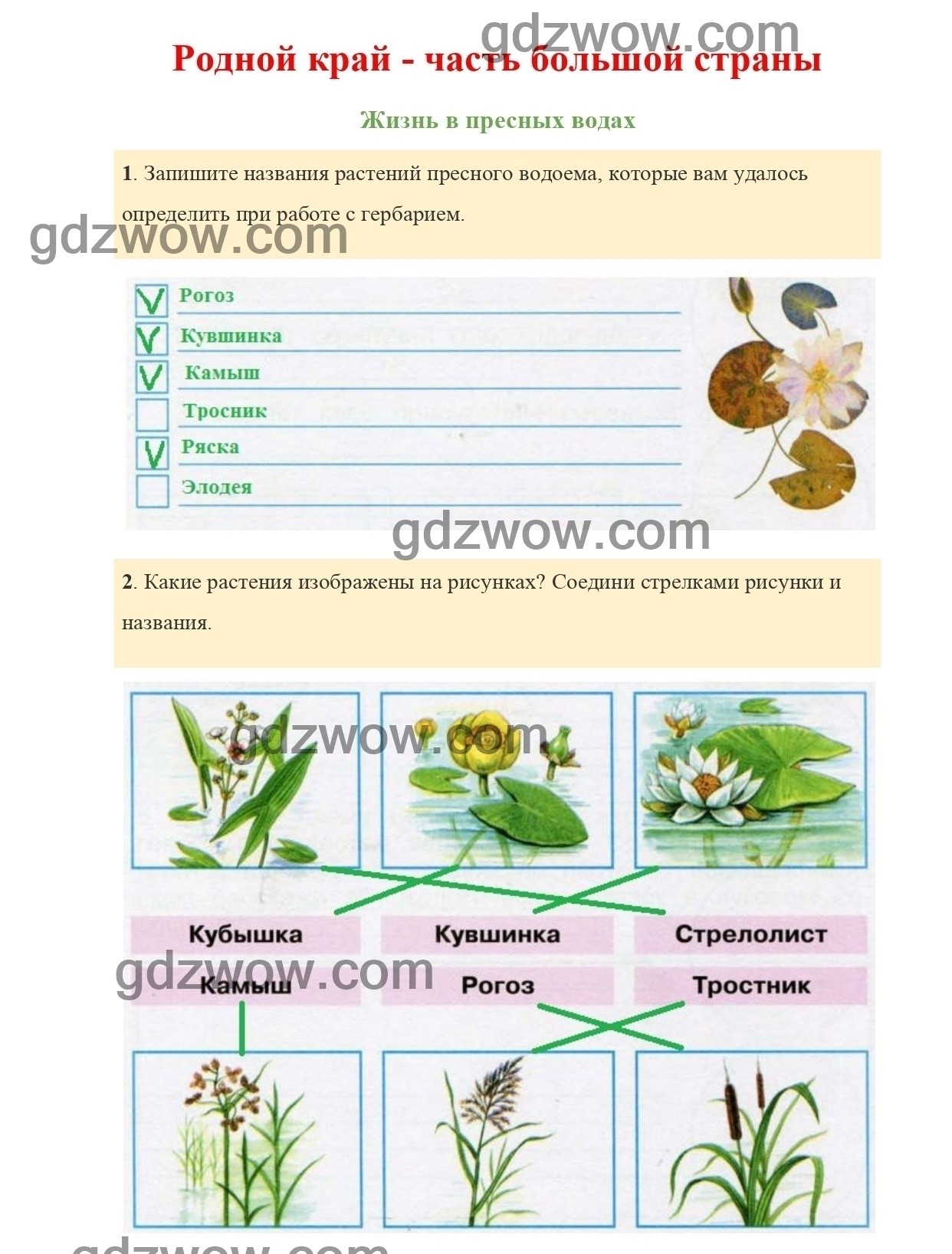 Проект по окружающему миру 4 класс 2 часть страница 138