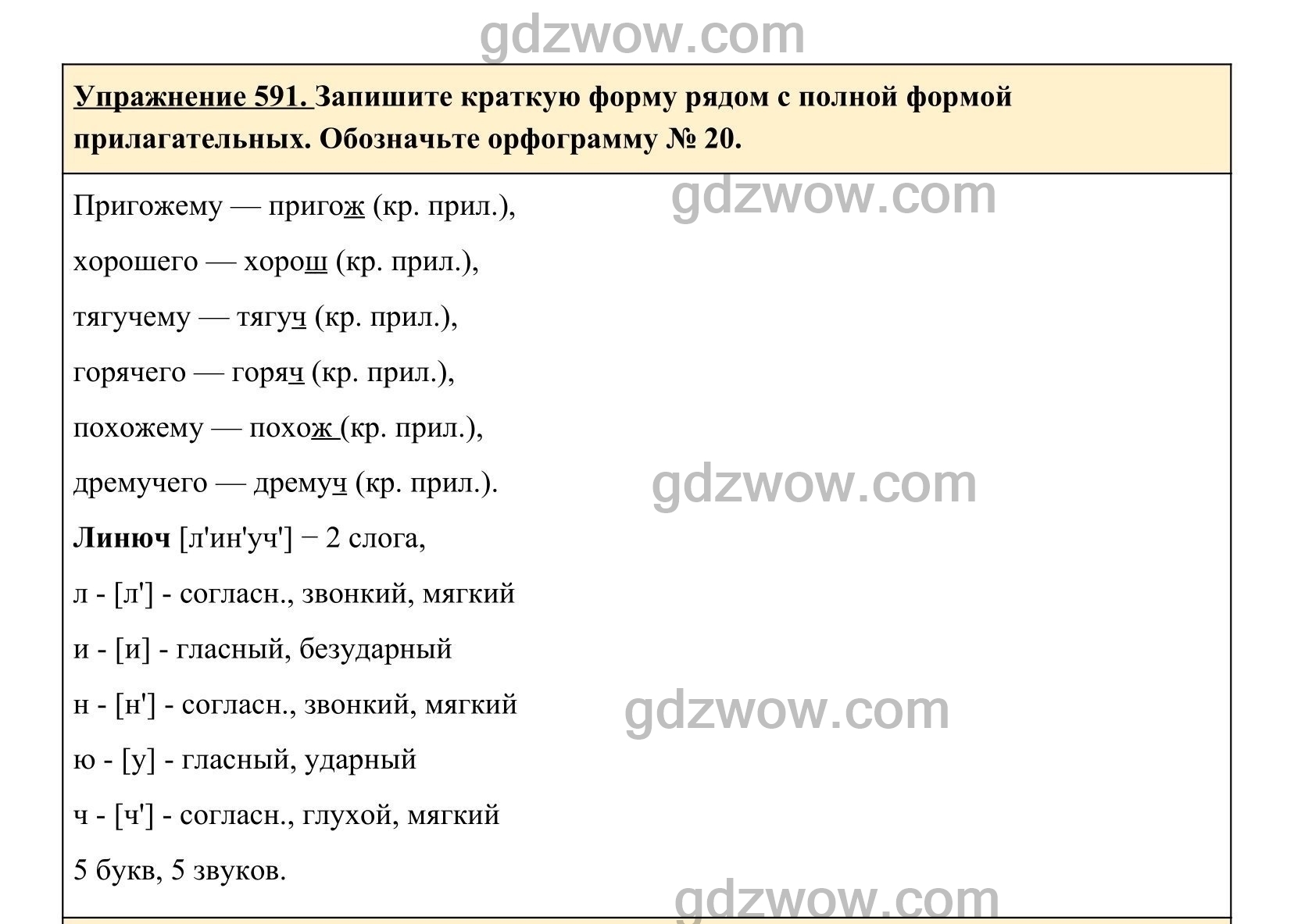 распредели корни в соответствии с условиями выбора гласной раст фото 72