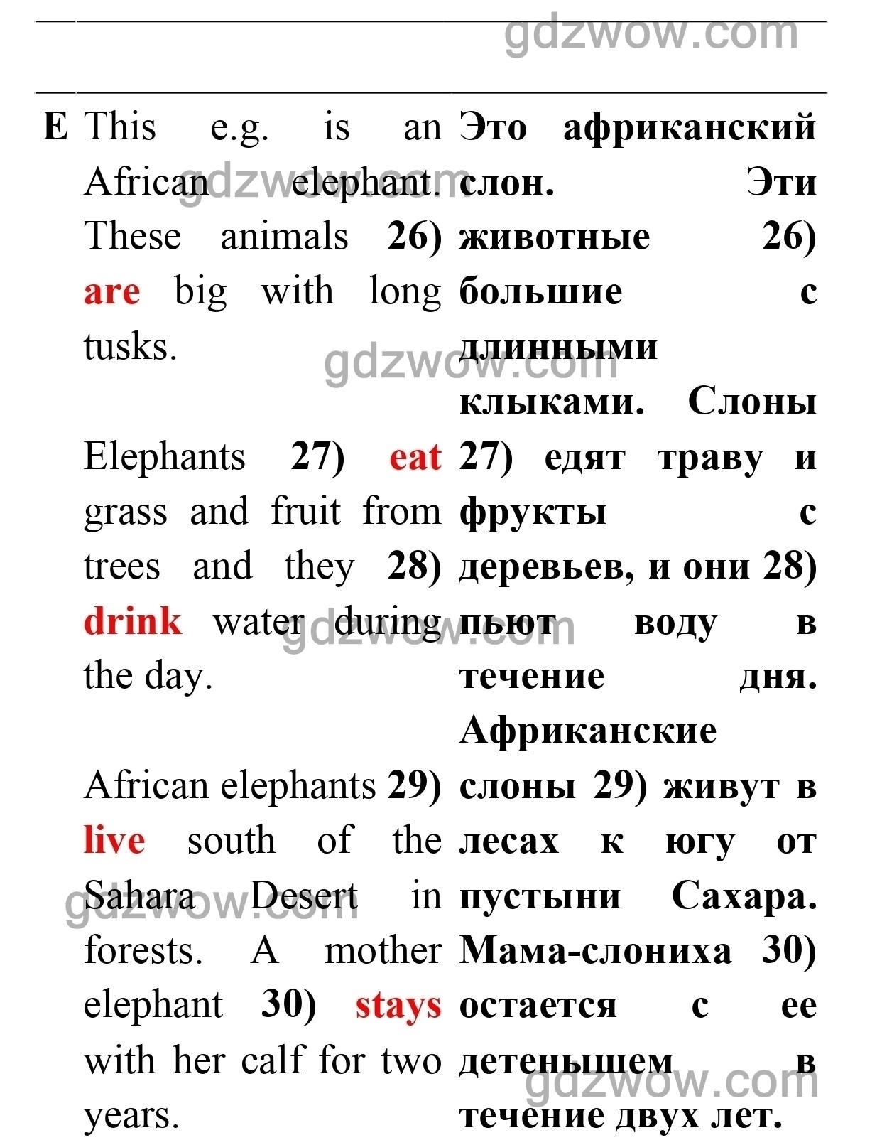 Английский 8 класс тест буклет спотлайт. Английский язык 5 класс (Test booklet) Spotlight. Гдз по английскому языку 5 класс Spotlight Test booklet. Гдз по английскому языку 5 класс тест буклет. Гдз по английскому языку 5 класс тест буклет Spotlight ответы.