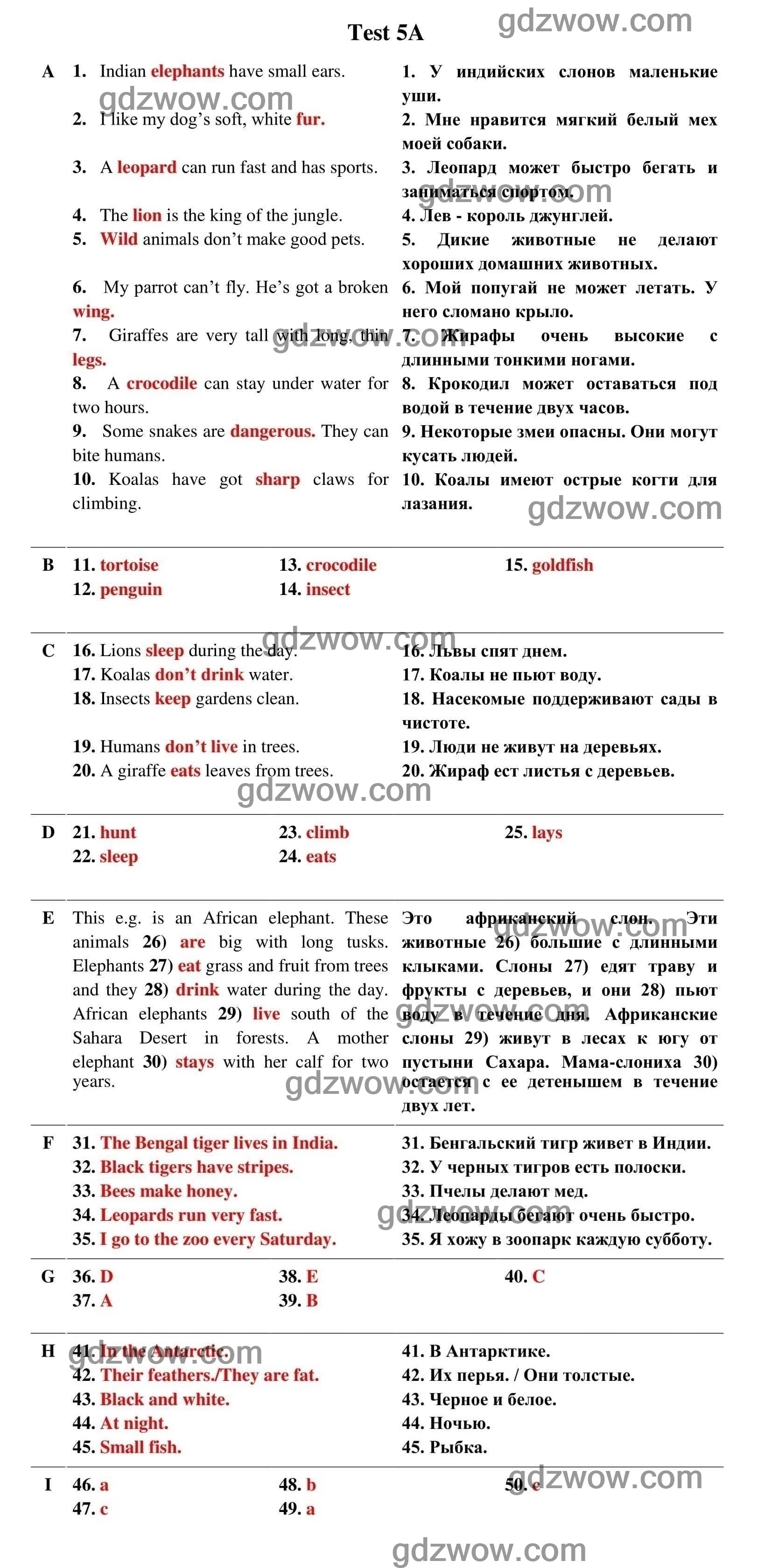 Test 5A — ГДЗ по Английскому языку для 5 класса Test Booklet Spotlight  Ваулина, Дули Дженни, Подоляко. Ключи к тестам (решебник) - GDZwow